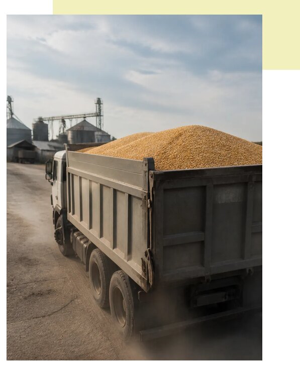 Перевозка сельхозпродукции навалом в Петрозаводск по цене от 3045 р. | Агросервис-Птр